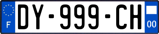 DY-999-CH
