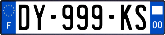 DY-999-KS