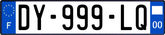 DY-999-LQ