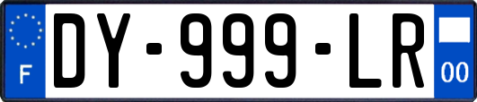 DY-999-LR