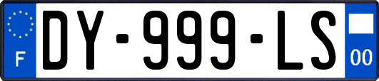 DY-999-LS