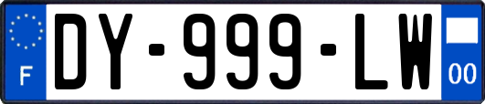 DY-999-LW