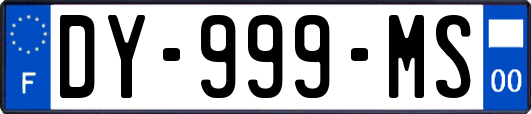 DY-999-MS