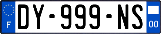 DY-999-NS