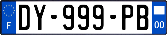 DY-999-PB