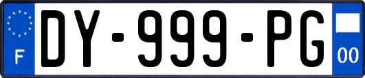 DY-999-PG