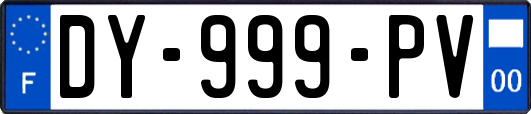 DY-999-PV
