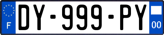DY-999-PY