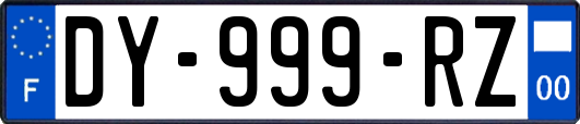 DY-999-RZ