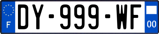 DY-999-WF