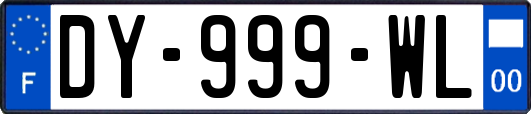 DY-999-WL