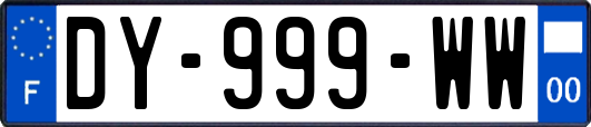 DY-999-WW