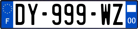 DY-999-WZ