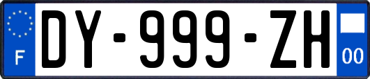 DY-999-ZH