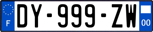 DY-999-ZW