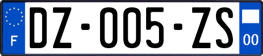 DZ-005-ZS