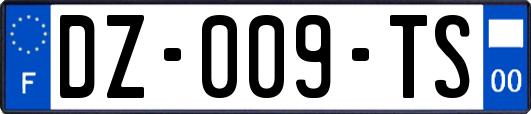 DZ-009-TS