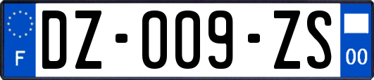 DZ-009-ZS