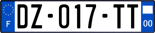 DZ-017-TT