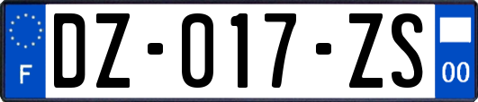 DZ-017-ZS