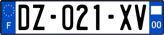 DZ-021-XV