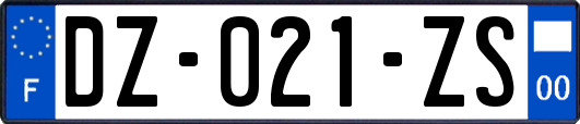 DZ-021-ZS