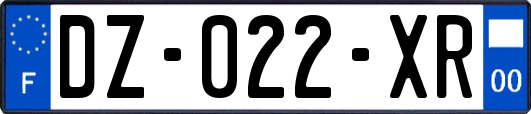 DZ-022-XR