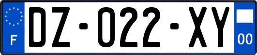 DZ-022-XY