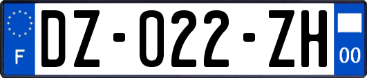 DZ-022-ZH