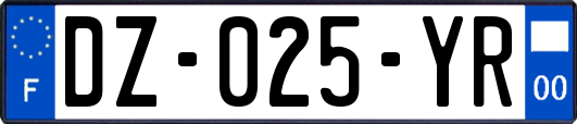 DZ-025-YR