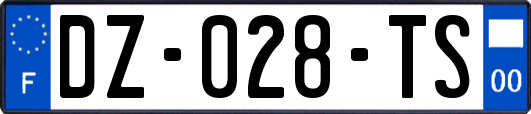 DZ-028-TS