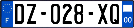 DZ-028-XQ