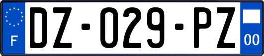 DZ-029-PZ