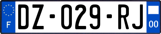 DZ-029-RJ