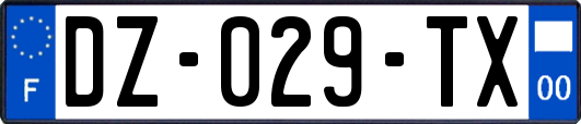 DZ-029-TX