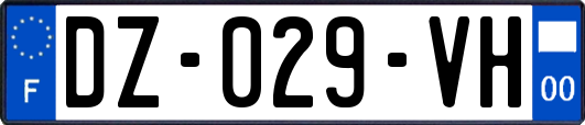 DZ-029-VH