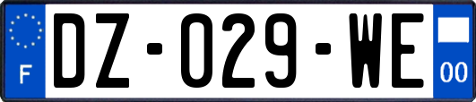 DZ-029-WE