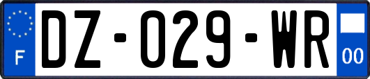 DZ-029-WR