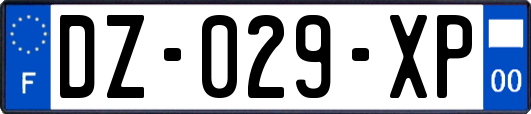 DZ-029-XP