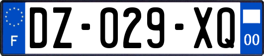 DZ-029-XQ