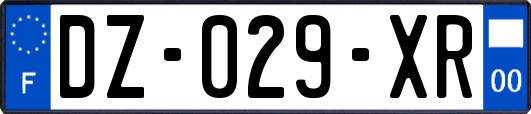 DZ-029-XR