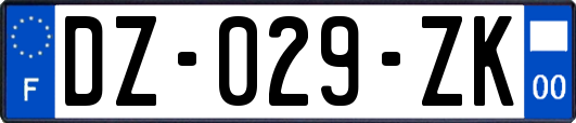 DZ-029-ZK