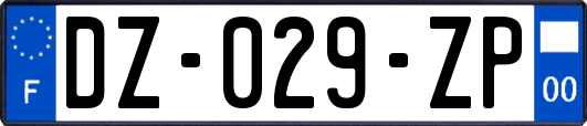 DZ-029-ZP