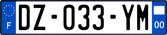 DZ-033-YM