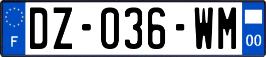 DZ-036-WM