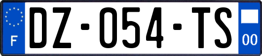 DZ-054-TS