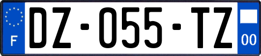 DZ-055-TZ