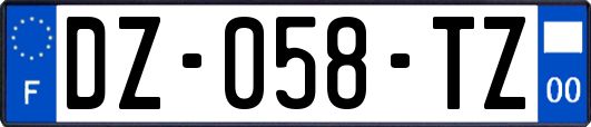 DZ-058-TZ