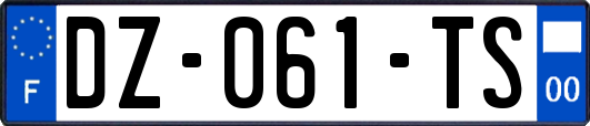 DZ-061-TS