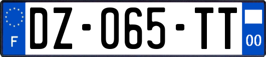 DZ-065-TT